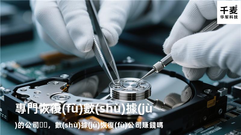專門恢復(fù)數(shù)據(jù)的公司，數(shù)據(jù)恢復(fù)公司賺錢嗎